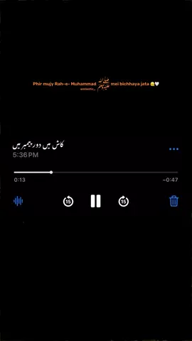 Part 14 || Kash mei Dore Payamber mei uthaya jaata🌸🖤#fypシ #foryou #trending