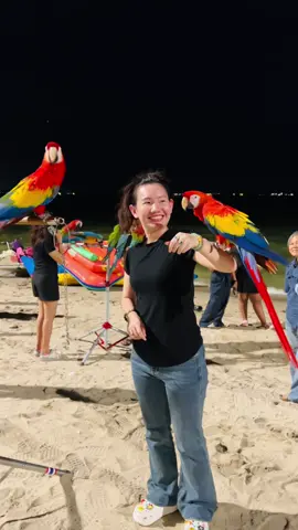 น้องๆน่ารักมาก🦜🦜 #นกบินอิสระ #บางแสน 