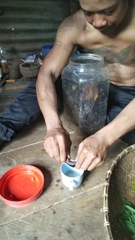 tội thằng bạn tôi ghe.rũ đi làm rẫy mà trại mình mới hết tửu ngày hôm qua 