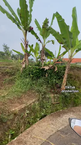 #sumedanghits 