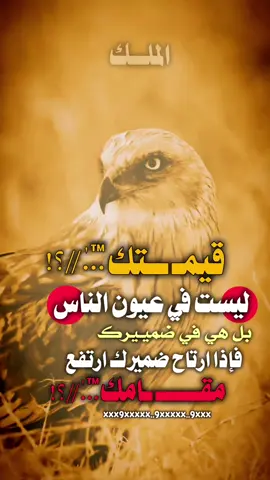 #استوريات #عبارات_جميلة_وقويه😉🖤 #مجرد________ذووووووق🎶🎵 #اكسبلورexplore #fypシ゚viral🖤tiktok☆♡🦋myvideo 
