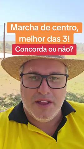 Cavalo Mangalarga Marchador.  O segredo da marcha!
