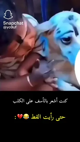#😅😅😅😅😅viralvideo #اكسبلور_تيك_توك🌹🎶🎵🇸🇦khuja_2021🎻♥️ 