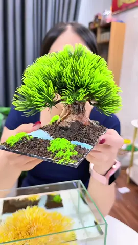 Tiểu cảnh Cây Bên Suối dành cho bể cá mini #kimthach #tieucanhmini 