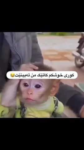 #kurdish #foryou #funny #😂😂😂 #fyp 