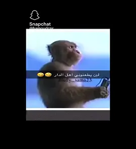 #الشعب_الصيني_ماله_حل😂😂 @غيث موريتاني🇲🇷🇲🇷🇲🇷 #تيك_توك 🤣🤣🤣🤣🤣