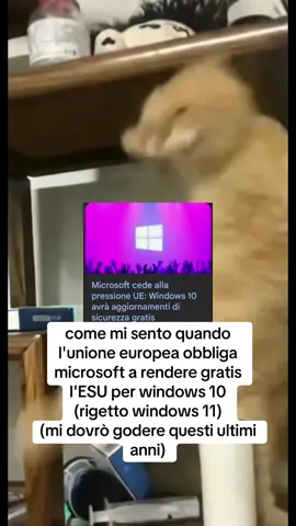 #windows10 #eu #windows11 #microsoft #esu 