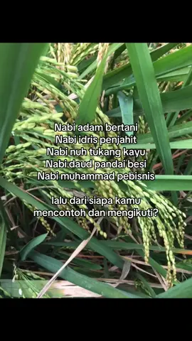 #petaniindonesia🇮🇩🇮🇩🇮🇩🌿🌿 #petanimuda 