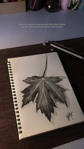 Even the leaf carries scars of silence. 🍂. . .. #reach #fvp #foryoupage #viralvideo #sketch 