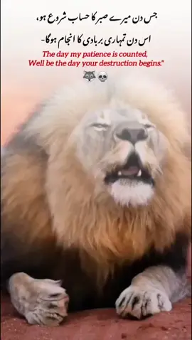 ( Wolf 🐺 ) #viewsproblem #growmyaccount #unfrezzmyaccount #virlaccount 