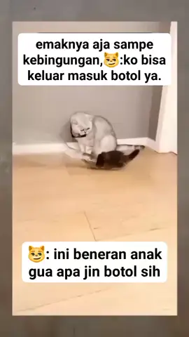 #oyenjadianakjinbotol #viral #sorotan #jangkauanluas #fyppppppppppppppppppp 