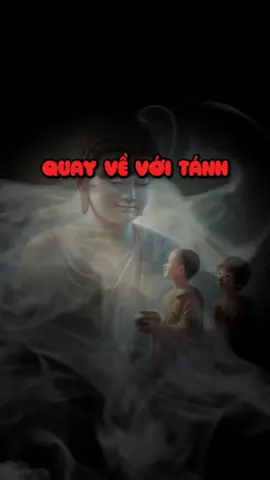 QUAY VỀ VỚI TÁNH  #phatphapnhiemmau #tinhthuc260690 #fyp #adidaphat🙏🙏🙏 