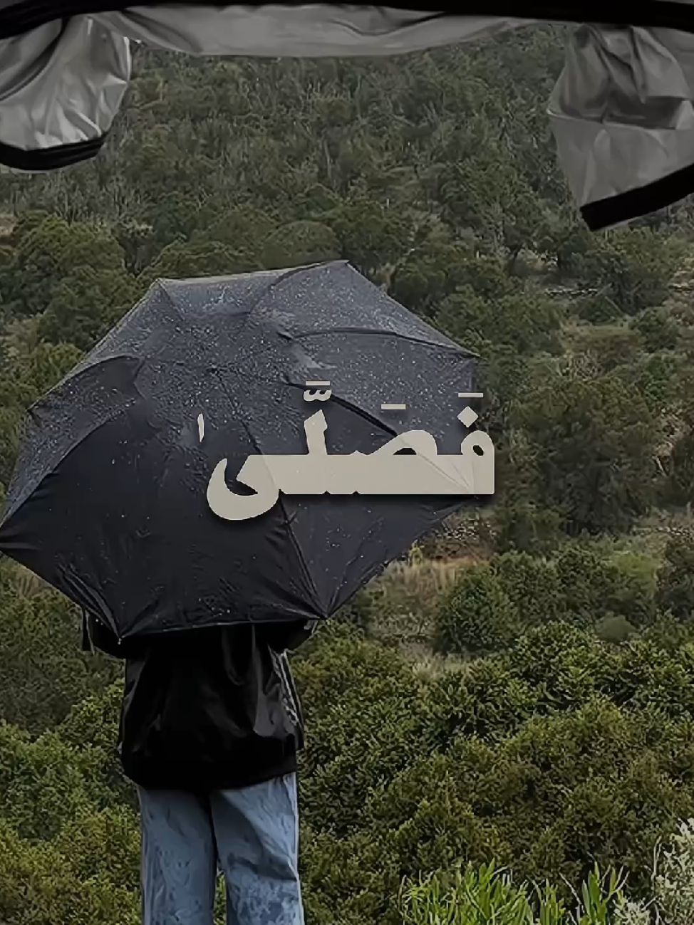 ﴿ قَدْ أَفْلَحَ مَن تَزَكَّىٰ وَذَكَرَ اسْمَ رَبِّهِ فَصَلَّىٰ ﴾ [سورة الأعلى 15] محمد ايوب  ‌ #قران_كريم #quran #محمد_ايوب #قران #fyp 