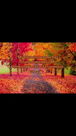 Comenzando Octubre en bendición y victoria 😊🙏🏻 mis meses favoritos #october#fallseason #octubre #temporadaotoño #jennymendez 