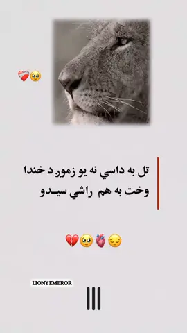 #رپیوست_کړی_ملګرو👑🥃 #پشتون_تاجیک_هزاره_ازبک_زنده_باد🇦🇫 