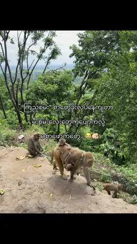 စိတ်ဆိုးတယ် မခေါ်တော့ဘူး နင်တို့ကို😭🫵🏻#fyp #foryou #views #tiktokmyanmar 