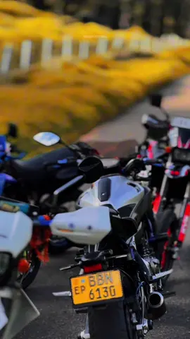 ලෙඩේට බෙහෙත් 🤫🚀#kawasaki #dtrackersupermoto #yamaha #mt07 #viraltiktok 