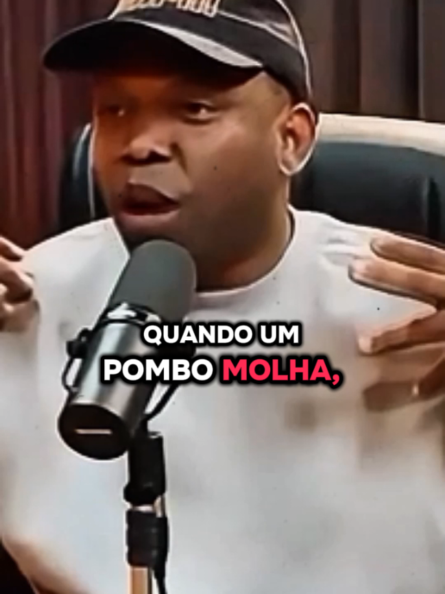 Os Que Esperam no Senhor Renovarão as suas Forças como Águia 🦅  Receba essa PALAVRA DE DEUS para sua Vida Hoje 🔥❤️‍🔥🙏  #reflexão #palavradedeus #podcastcristão #aguia #fycristao 