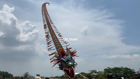 naga arya sena mengamuk 📍:Demak Green Garden #layanganviral #lombalayangan #demakgreengarden #festivallayangan #pelayangindonesia #pelayangindonesia #pelayangnusantara #pelayangnagaindonesia #pelayangnagaindonesia #layangannaga #trainnaganusantara #