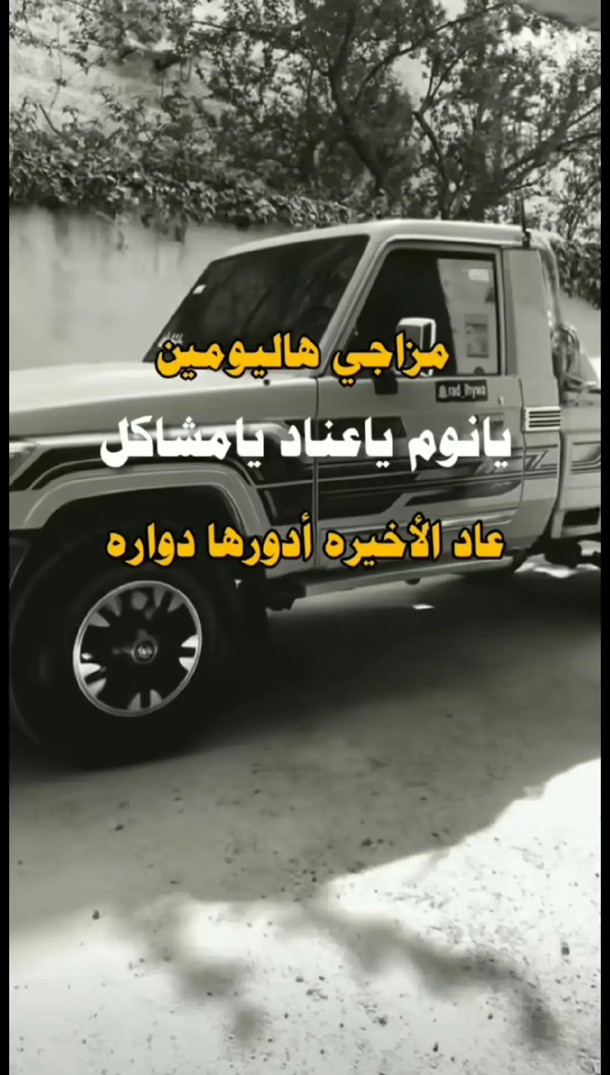 الصقر ما تلعب علية العصافير#مجرد________ذووووووق🎶🎵💞 #مجرد________ذووووووق🎶🎵💞 #صنعاء_تعز_عدن_اب_ذمار_حجة_حضرموت #الشعب_الصيني_ماله_حل😂😂 