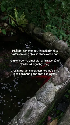 …#tamtrang #story 