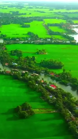 Alappuzha... 😍😍👌👌💞💞❤❤🥰#noufal_kl10 #malappuramkaran #godsowncountry #kerala #alappuzha 