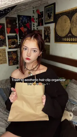 DIY hair-clip organizer🍃