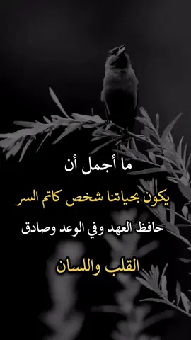 #افضل_عبارة_لها_تثييت #اجمل_عبارة_راح_ثبتها📌 #عباراتكم_الفخمه📿📌 