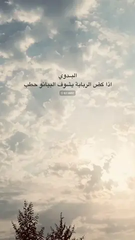 البدوي #شعر #سمير_صبيح #جبار_رشيد #explore 