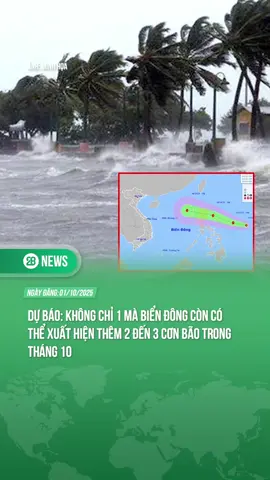 DỰ BÁO BIỂN ĐÔNG CÓ THỂ ĐÓN 2-3 CƠN BÃO TRONG THÁNG 10 #theanh28news #theanh28 #tiktoknews 
