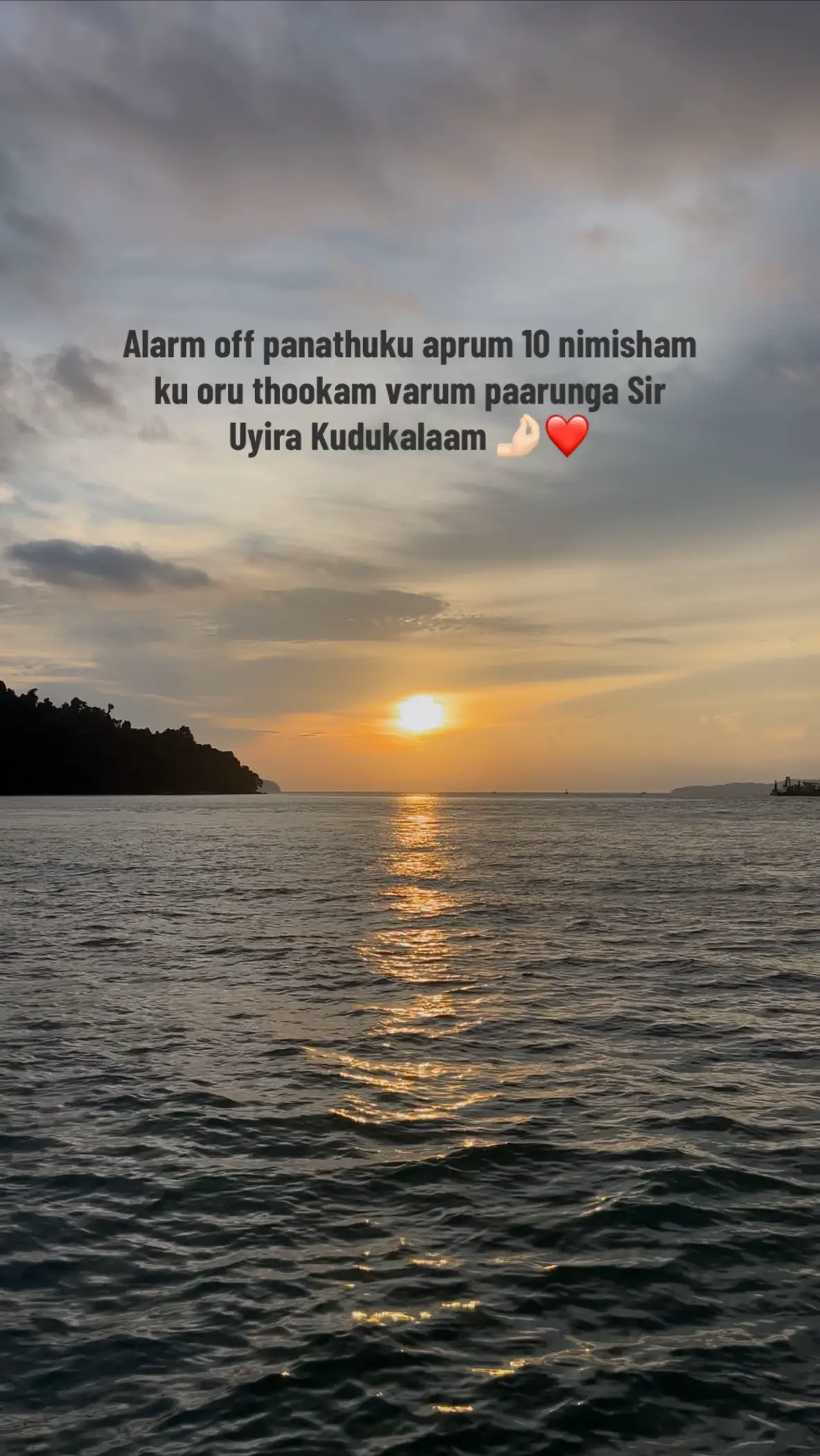 #sleeplessnight #midnightthoughts #fypviral #fyppppppppppppppppppppppp #forypupage 