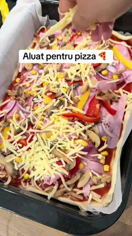 Aluat pentru pizza: -1 kg faina -o căniță ulei de masline -1 plic drojdie uscată  -aproximativ 500 ml apa caldă  -o lingura sare  #pizza #aluatpizza #pizzadough #fyp #pentrutine 