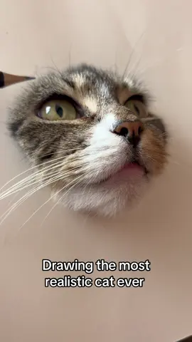 60 hours later… #pets #viral #cute 