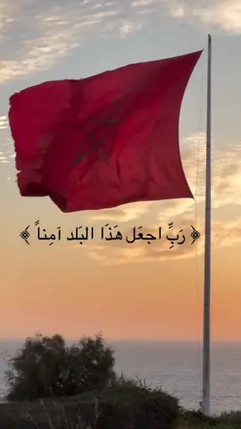 #tiktok #المملكة_المغربية_الشريفة🇲🇦 #الله_الوطن_الملك👑🇲🇦👑 #الجالية_المغربية_في_كل_مكان💚 #فرنسا🇨🇵_بلجيكا🇧🇪_المانيا🇩🇪_اسبانيا🇪🇸 