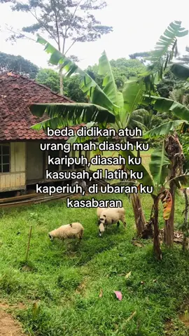 kitu barudak #barudaksunda #storysunda #katakatasunda #sundapride🔥 #kahirupan 