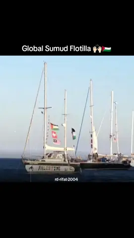 Global Sumud Flotilla 🙌🏻🇵🇸 #foryoupage #vairalvideo #trending #unfrezzmyaccount #playstation 