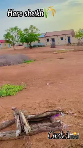 degmada harasheekh ee gobalka daad madheedh waadegmada kutaala xadka ay iska galaan gobalada togdheer iyo maroodijeex m.mooge m.ramaax