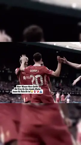 Kuwo Laba Kulan Oo Isku Xiga Xataa Aan 2shots Sameyn Karin Baba Nagu Soo Rawaxey Anaga!Bal Mey Toda Melsaran Marka Hore🤌🏼🙄⚰️😂#liverpoolfc❤️⚽#ynwa#lfc  #Liverpool #lfc 