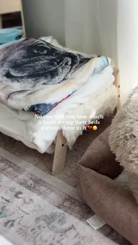 Gosh. My heart hurts so much. 🥹💔 #grief #pugsoftiktok #bestfriend