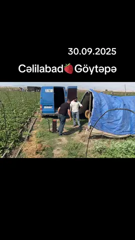 Əkinci gostərişi başqadı😂😂😂#neriman393 