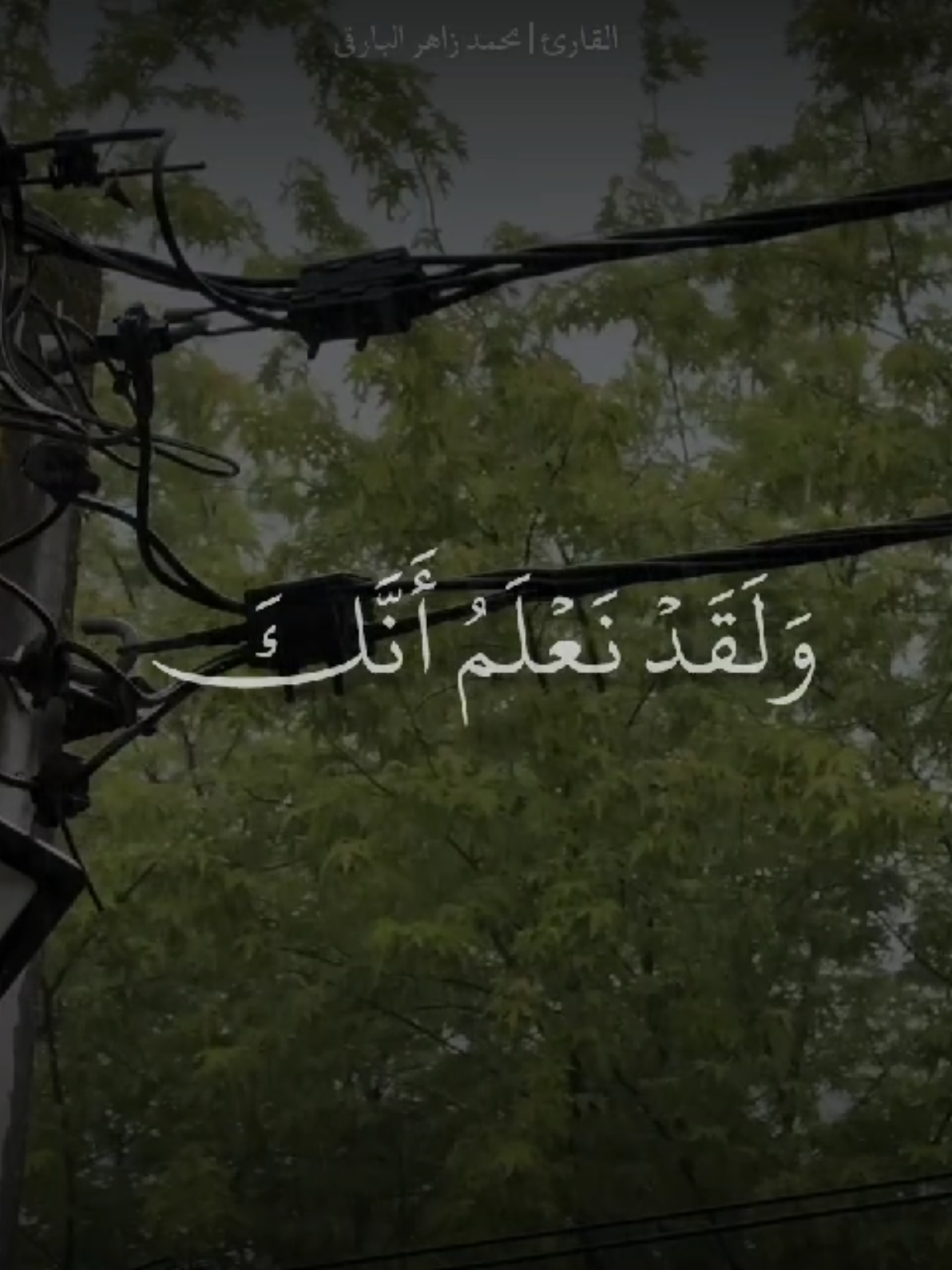 الآية ﴿وَلَقَدْ نَعْلَمُ أَنَّكَ يَضِيقُ صَدْرُكَ بِمَا يَقُولُونَ﴾ معناها: الله سبحانه يخبر نبيه ﷺ أنه يعلم حزنه وضيق صدره بسبب تكذيب المشركين وسخريتهم، ثم أرشده بعدها أن يداوي هذا الضيق بالتسبيح والسجود والعبادة حتى يثبت قلبه ويطمئن. #محمد_زاهر_البارقي #محمد_البارقي#جامع_الاجواد_الكبير #قران #سورةالحجر 