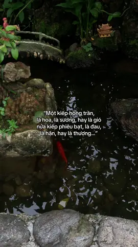 …#tamtrang #story 