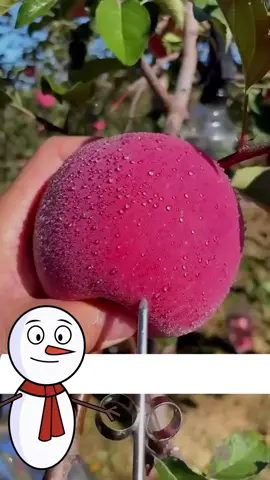 Sabías esto? Sígueme para más consejos de salud #comidas #alimentossaludables #frutas #consejosdesalud #viral