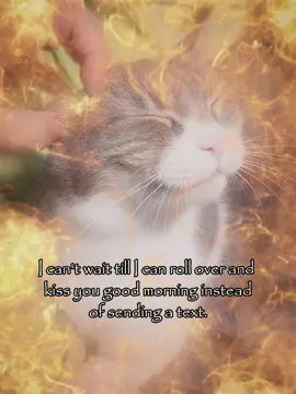 i cant wait 🥹 #couple #relatable #meme #rizz #cattok 
