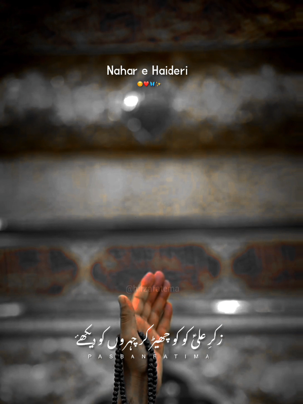 شجرے چمنکے لگتے ہیں ممبر کے سامنے 🥹❤️🫀#yaali #shiastatus #foyoupag #ali_walihu #growmyaccount 