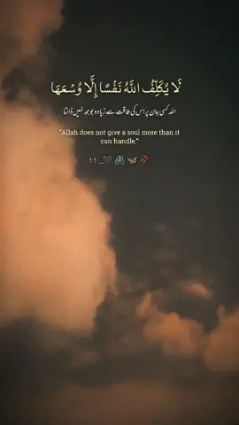 Beshak#CapCut#fy #foryoupageofficiall #islamic_video #status 