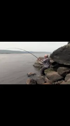 #rivermonster #fishing #fishingvideos #fyp #viral 