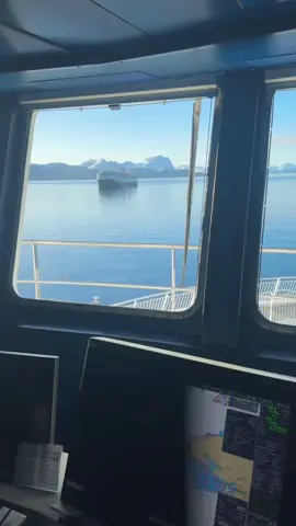Life at sea 🌊⚓ Hard work, endless horizons, and a view that never gets old! #ShipLife #AtSea #WorkAndTravel
