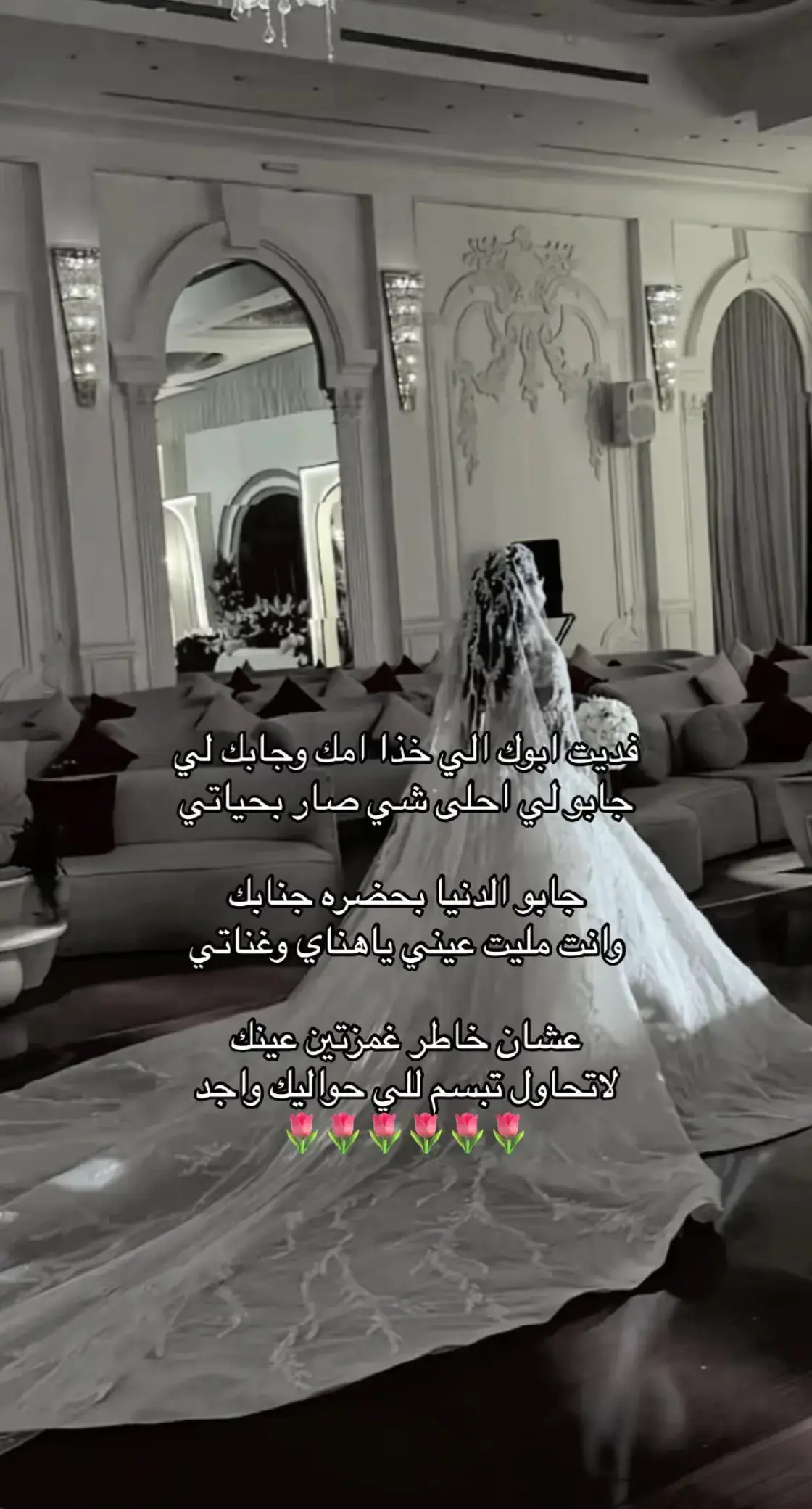 #زفة_عروسه #زفة_ماجد_المهندس_بدون_حقوق  #زفات_راشد_الماجد_بدون_حقوق  #زفات_2024_محمد_عبده #زفه_بدون_موسيقى 
