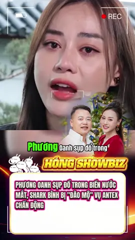 PHƯƠNG OANH SỤP ĐỔ TRONG BIỂN NƯỚC MẮT, SHARK BÌNH BỊ 